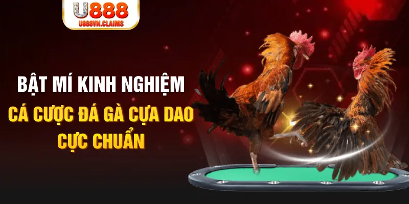 hitclu trong baccarat, ai là người chia bài chính?