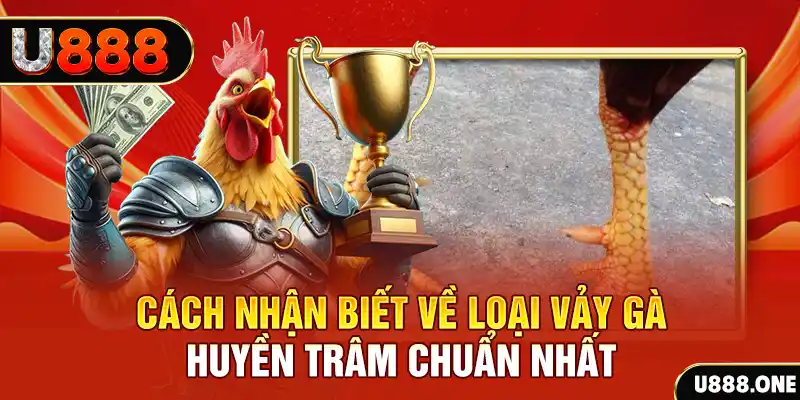 hitclu Chú hề Patty tuổi teen