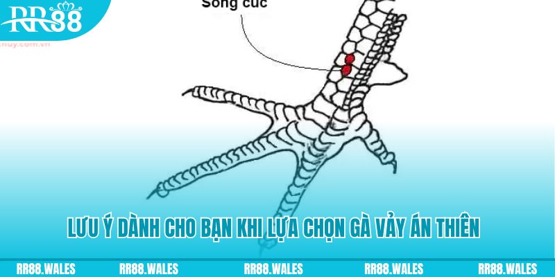 hitclu how to play roulette at casino