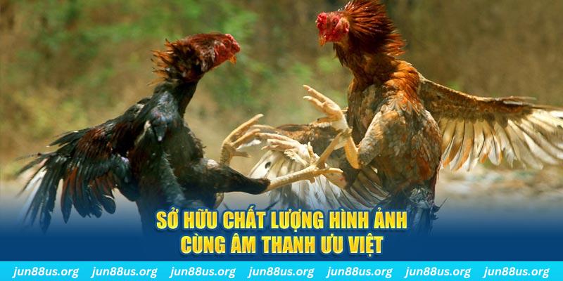 hitclu bắn cá 30