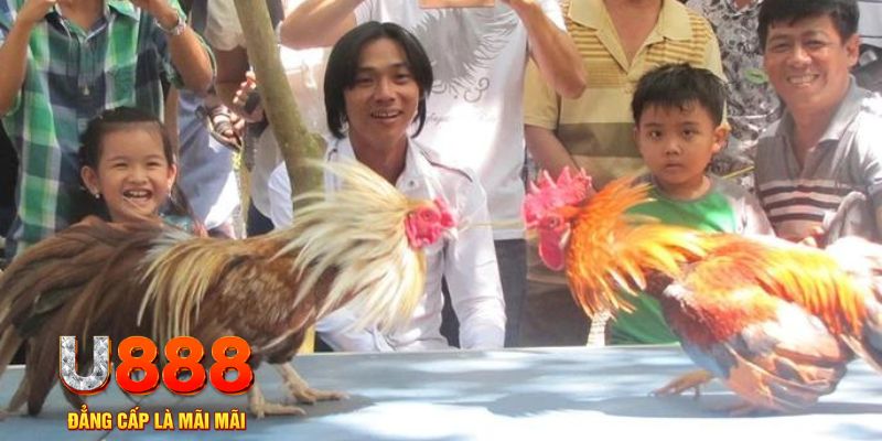 hitclu mơ thấy nổ hũ đánh con gì