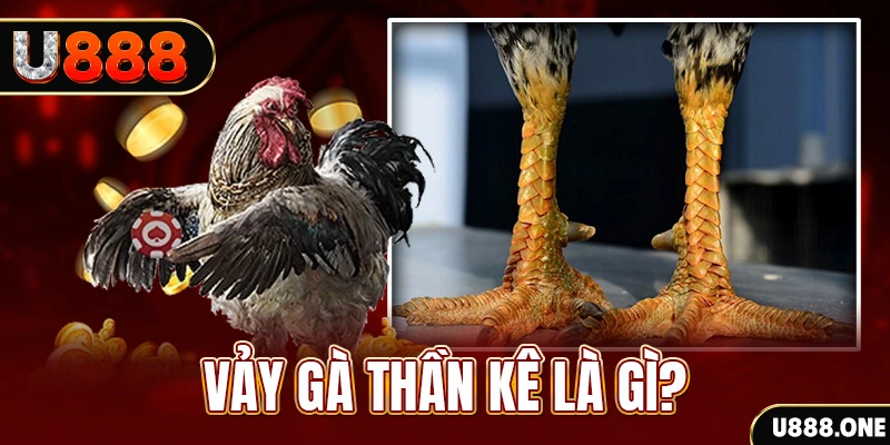 hitclu xổ số miền bắc thứ tư hàng tuần