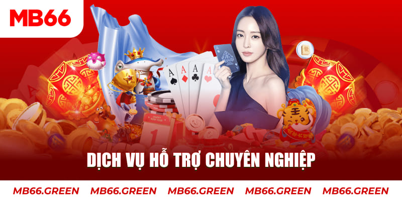 hitclu 5G Điện Tử