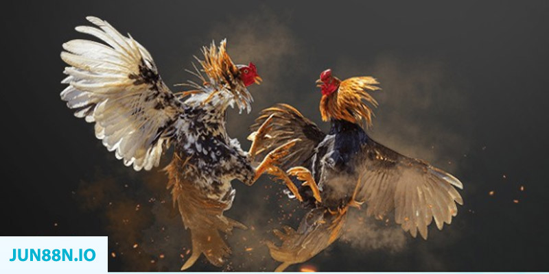 hitclu đăng nhập sòng bạc miễn phí