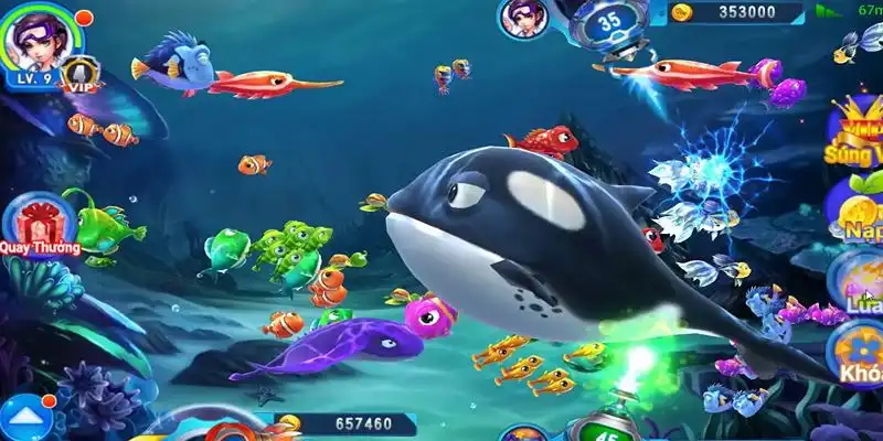 hitclu truc tiep da ga